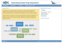 Tablet Screenshot of igtc.org